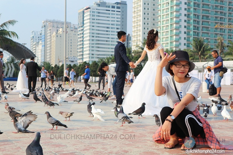 Thousands of sea doves cover Da Nang East Sea Park